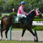 愛知杯2018の最新人気・予想オッズ、出走予定馬は?過去の歴代勝ち馬一覧