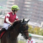 高松宮記念2018の競馬予想分析…ファインニードルがGⅠ初制覇へクリアすべき4カ条