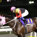 東海S2018の最新人気・予想オッズ、出走予定馬は?過去の歴代勝ち馬一覧