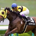 セントウルS2018の競馬予想分析!3つのデータから導く危険な人気馬