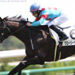 京都新聞杯2018の予想オッズ・人気と出走予定馬は?日本ダービー最終東上便展望