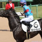 きさらぎ賞2018の競馬予想分析…グローリーヴェイズ、揺るがぬ信頼の4つの根拠