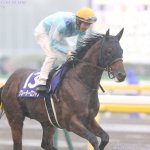 東京新聞杯2018の最終追い切り分析…グレーターロンドンらの調教評価は?