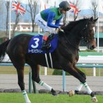 福島牝馬S2018の最新人気・予想オッズ、出走予定馬は?過去の歴代勝ち馬一覧
