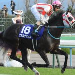 中山牝馬S2018の競馬予想データ分析…5つの消しで好走率約7割、回収率約380