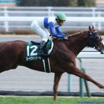 日経新春杯2018の競馬予想分析…ロードヴァンドールが好走する3つの根拠とは?