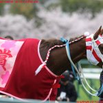 オーシャンS2018の競馬予想データ分析…5つの消しで好走率10割、回収率450超