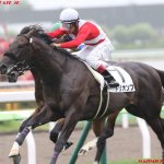 新潟大賞典2018の予想オッズ・人気と日程、出走予定馬と過去の傾向は?