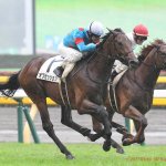青葉賞2018の最新人気・予想オッズ、出走予定馬は?過去の歴代勝ち馬一覧
