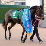 京都牝馬S2018の予想オッズ・人気と日程、出走予定馬と過去の傾向は?