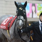 日経賞2018の最新人気・予想オッズ、出走予定馬は?過去の歴代勝ち馬一覧