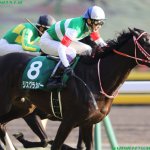 東京新聞杯2019の競馬予想データ分析!過去10年の傾向は?