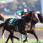 香港ヴァーズ2018の競馬予想分析!3つのデータから導く危険な人気馬