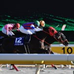 ノンコノユメの勝因、テイエムジンソクの敗因は?フェブラリーステークス2018の回顧