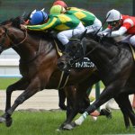 阪神大賞典2018の競馬予想分析…サトノクロニクルが激走する三要素とは?