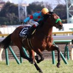 新潟記念2018の競馬予想分析!3つのデータから導く穴馬候補