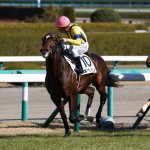 中日新聞杯2018の予想オッズ・人気と日程、出走予定馬と過去の傾向は?
