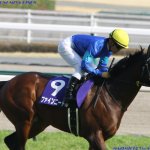 香港スプリント2018の競馬予想分析!ファインニードルは好走するのか?3つの着眼点