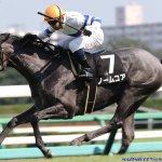 愛知杯2019の予想オッズ・人気と日程、出走予定馬一覧