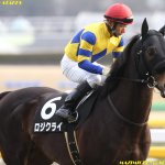 京成杯AH2018の予想オッズ・人気と日程、出走予定馬と過去の傾向