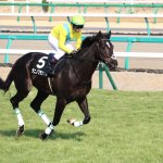 小倉大賞典2019の予想オッズ・人気と注目の出走予定馬は?JRA重賞展望