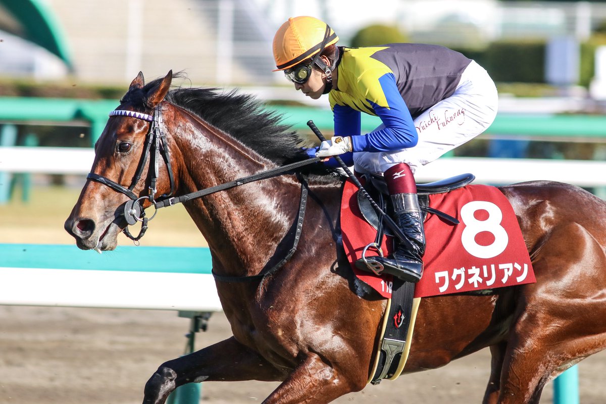 日本ダービー2018の競馬予想分析…皐月賞1番人気馬！ワグネリアンの逆襲は？