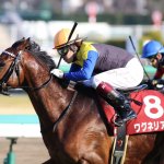 神戸新聞杯2018の予想オッズ・人気と出走予定馬は?菊花賞トライアル展望