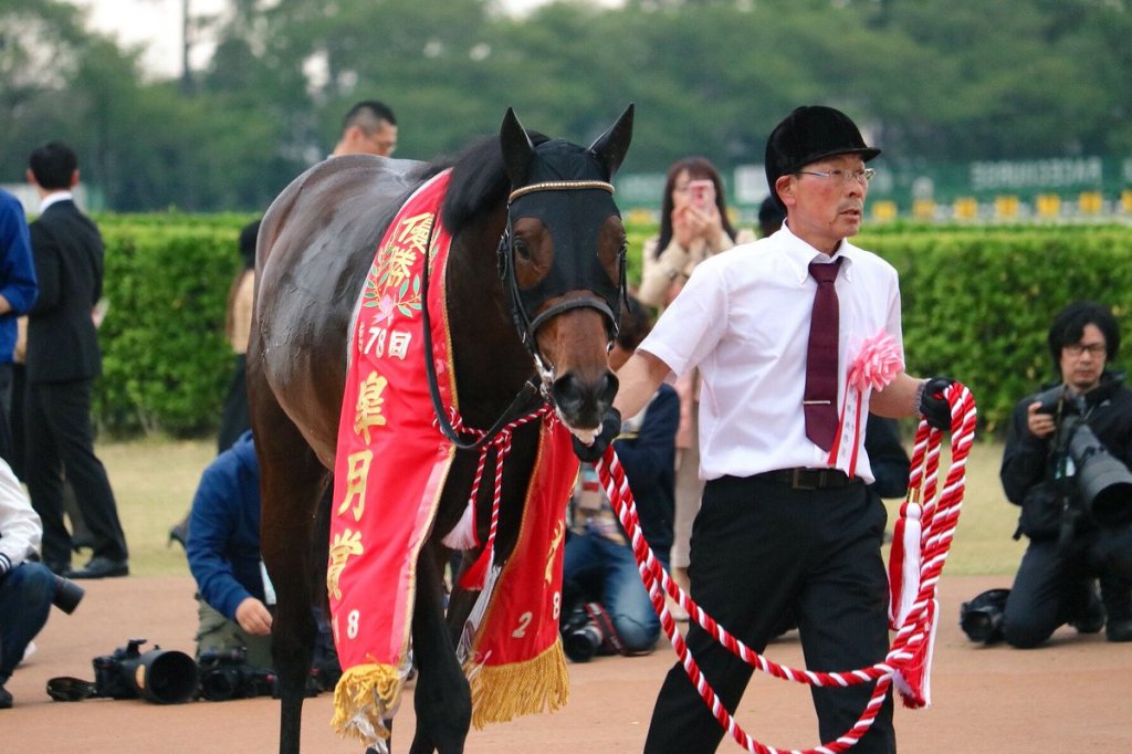 日本ダービー18の競馬予想分析 出走予定馬診断 皐月賞組編