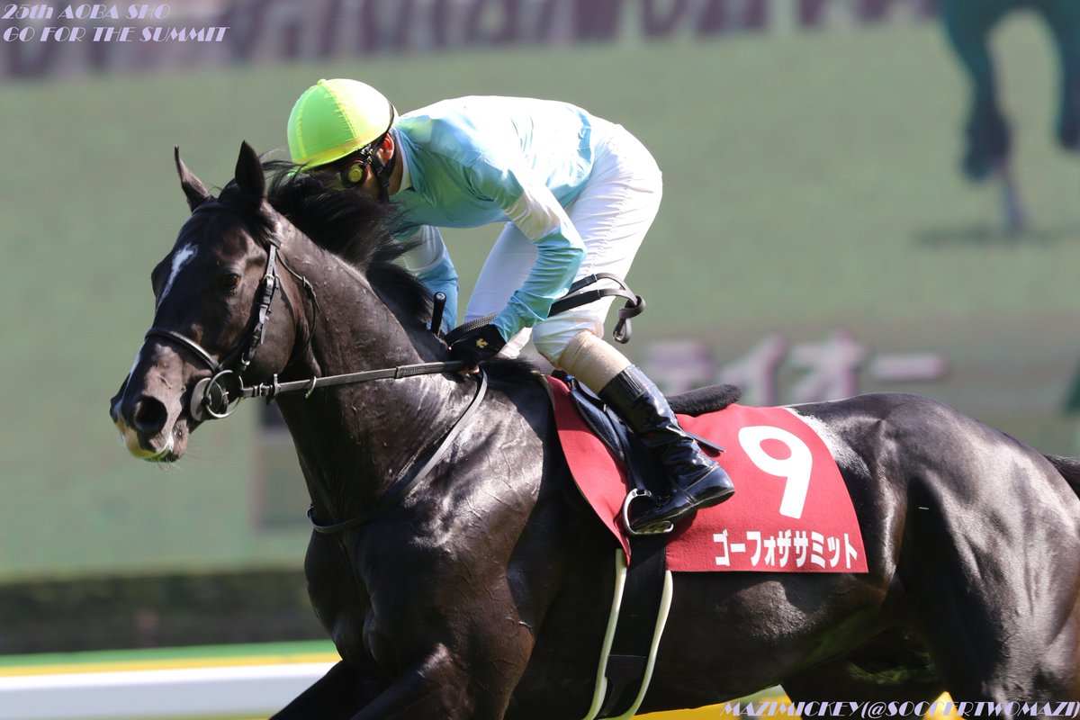 神戸新聞杯2018の競馬予想分析！4つのデータから導く穴馬候補