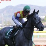 マーメイドS2018の競馬予想分析、結果発表!回収率260超のデータ該当馬とは?