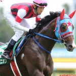京成杯AH2018の競馬予想分析!3つのデータから導く危険な人気馬