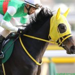 富士S2018の競馬予想分析!4つのデータから導く穴馬候補