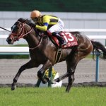 ステイフーリッシュの勝因、フランツの敗因は?京都新聞杯2018回顧