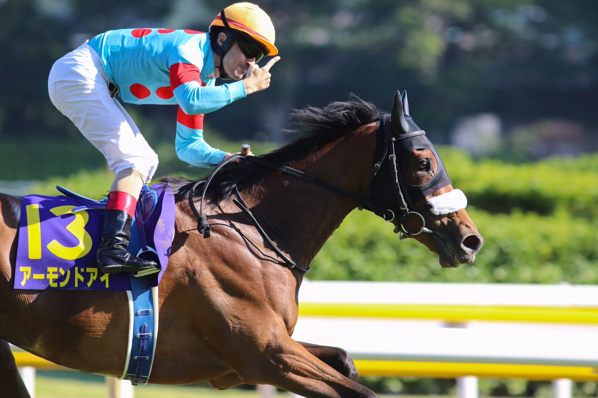 安田記念2019の競馬予想分析！5つのデータから導く勝ち馬候補