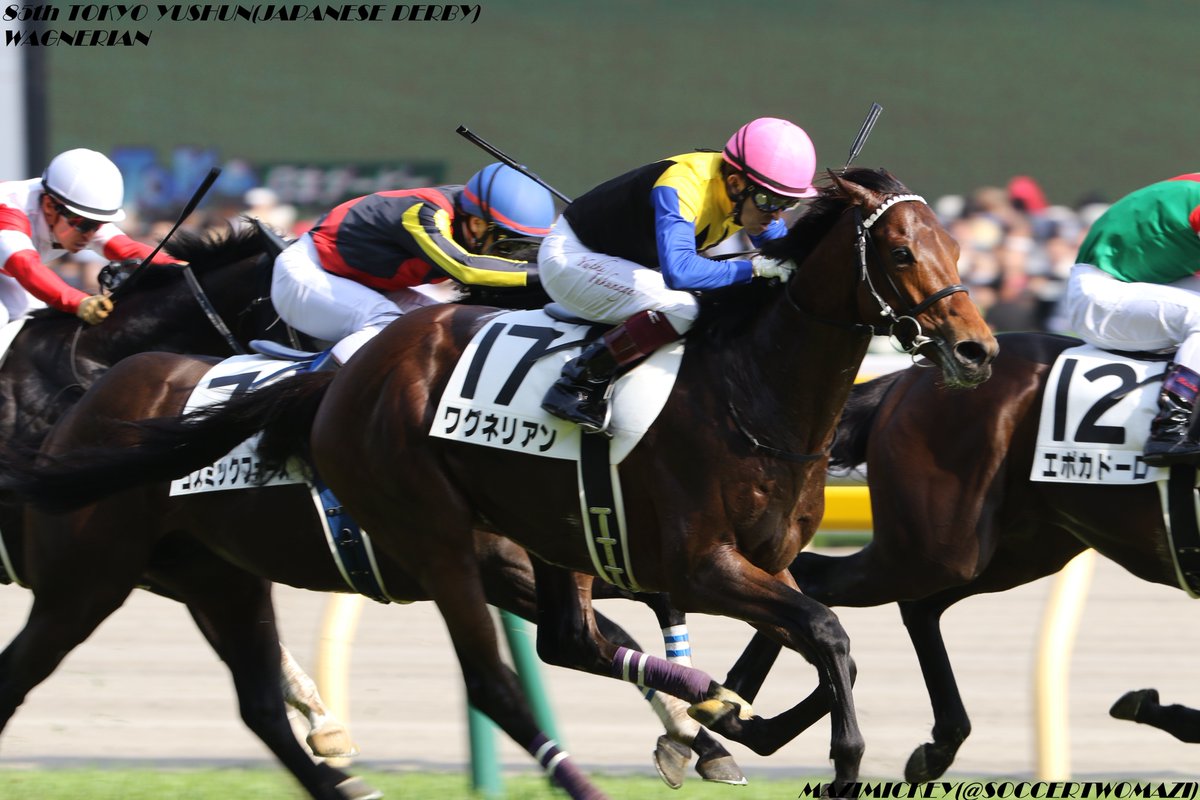 神戸新聞杯2018の競馬予想分析！4つのデータから導く勝ち馬候補