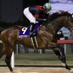 チャンピオンズカップ2018の最新人気・予想オッズ、出走予定馬は?過去の歴代勝ち馬一覧