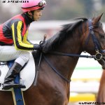 ラジオNIKKEI賞2018の競馬予想分析…フィエールマンへの期待と2つの不安要素