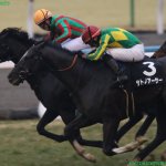 エプソムカップ2018の競馬予想分析…重賞初制覇?サトノアーサーを切る3つの視点