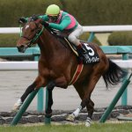 ラジオNIKKEI賞2018の最新人気・予想オッズ、出走予定馬は?過去の歴代勝ち馬一覧