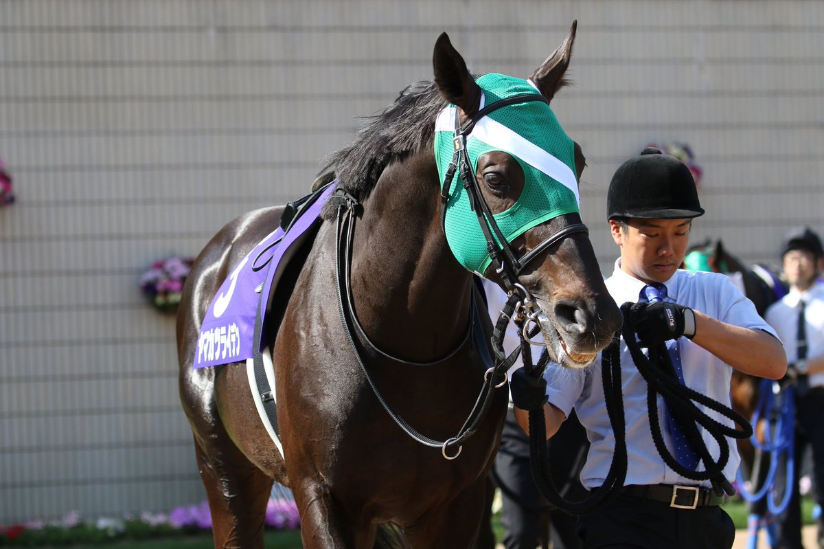 鳴尾記念2018の競馬予想分析、結果発表!回収率約230のデータ ...