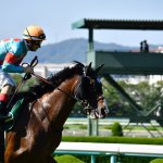 鳴尾記念2019の競馬予想データ分析!過去7年の傾向は?