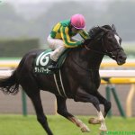 サトノアーサーの勝因、ダイワキャグニーの敗因は?エプソムカップ2018回顧