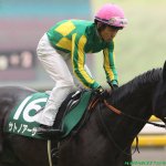 エプソムカップ2019の競馬予想データ分析!過去10年の傾向は?