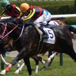 関屋記念2018の予想オッズ・人気と出走予定馬は?真夏の高速マイル決戦展望