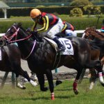 関屋記念2018の競馬予想分析!過去の血統と種牡馬の共通点
