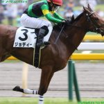 阪神JF2018の競馬予想分析!3つのデータから導く穴馬候補