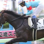 札幌2歳S2018の予想オッズ・人気と出走予定馬は?2歳重賞展望