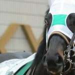 北九州記念2019の競馬予想分析!3つのデータから導く危険な人気馬