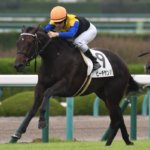 阪神JF2018の競馬予想分析!ビーチサンバの激走が期待できる3つの理由