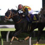 東京大賞典2018の競馬予想分析!3つのデータから導く危険な人気馬